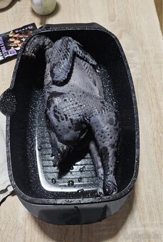 Kuřata Ayam cemani - 3