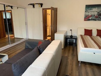 Pronájem bytu 1+1 45 m² Osadní, Praha - Holešovice - 3
