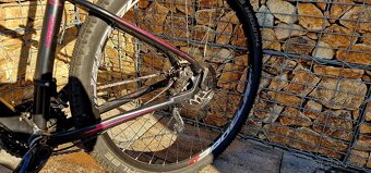 Dámské kolo 4EVER Hazzard Lady - 3