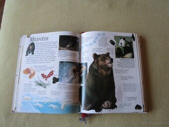 Velká dětská encyklopedie, 480 stran, názorné obrázky - 3