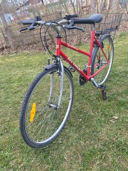 Kolo Author ATTACK - 3