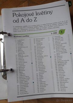 Květiny od A do Z - 3
