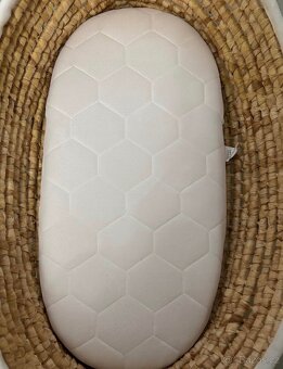 Mojžíšův koš - 3