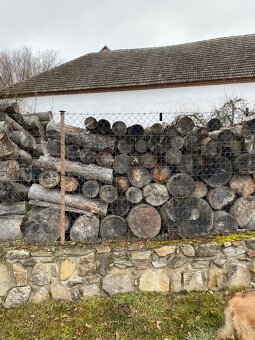 Palivové dřevo - 3