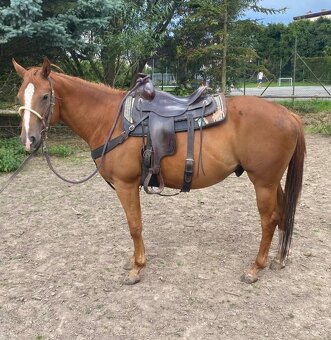 Aqh, Qh - 3