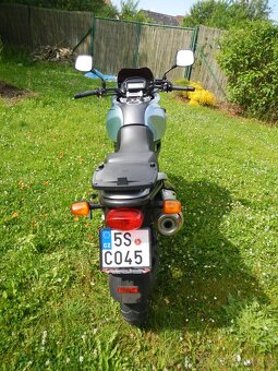 Suzuki XF 650 Freewind - 3