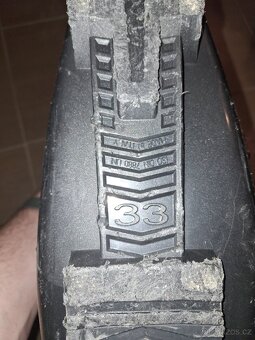 Dalbelo přaskáče - 3