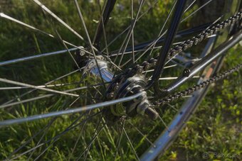 Single speed, Favorit, Městské kolo - 3