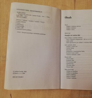 Obejměte své Vnitřní dítě - 3