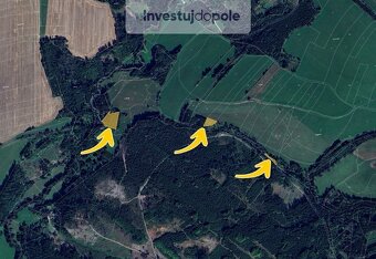 Prodej lesa 4 042 m², Prosíčka - Dolní Prosíčka - 3