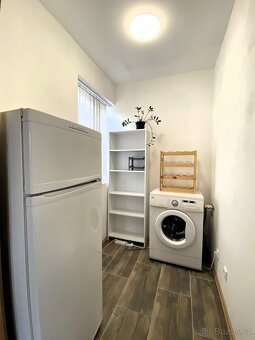 Pronájem bytu 3kk 70m2 v obci Čistá, terasa, parkovací stání - 3