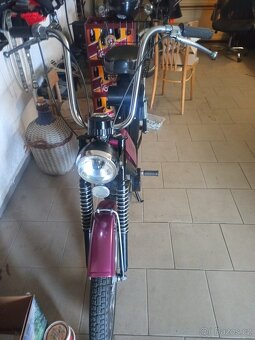 babetta - 3