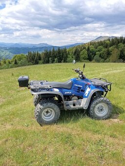 Polaris Magnum 325 - 3