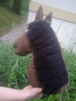 Hobby horse - 3