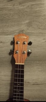 Ukulele Cascha - 3