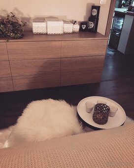 Prodej luxusního bytu 2kk s velkou terasou - 3