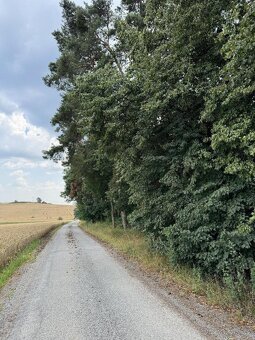 Prodám pozemky v k.ú. Kojice - 3