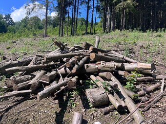 Prodej palivového dřeva - 3