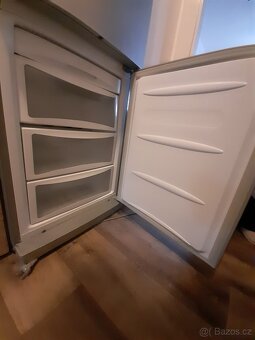 Ledice LG 2m vysoká - 3