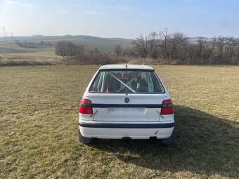 Felicia závodní - 3