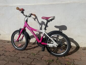 Rockmachine Mustang - 3