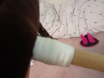 Hobby horse - 3