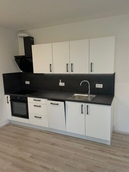 Pronájem bytu 1+kk 30 m² se zahradou 56 m², Plzeň Litice - 3