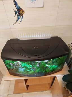Akvárium i se stolkem - 3