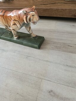 Tygr Ditmar Urbach - 3