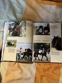 Kniha o koních - 3