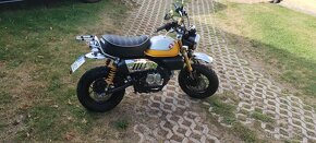 Monkey - 3