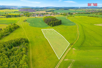 Prodej louky, 10193 m², Lešetice - 3