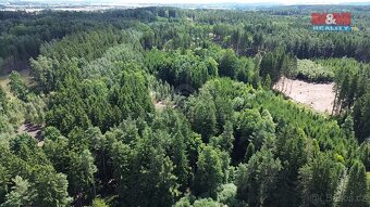 Prodej lesa, 5323 m², Olší u Opařany - 3
