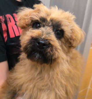 Nagini hledá domov - 3