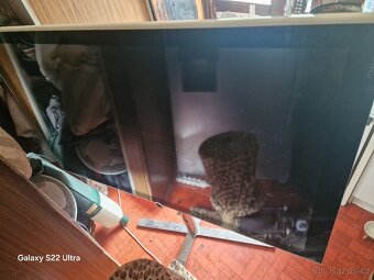 Loewe Individual 55 - 3