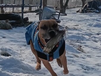 Nabídka je krytí - 3