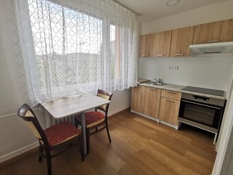 Centrum - Karlovina 1+1 po rekonstrukci, částečně zařízené - 3
