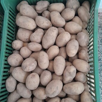 Prodej brambor a cibule - 3