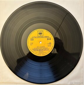 Neil Diamond - Krásný kluk (LP) - 3