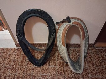 2 chomouty s pobočky - 3