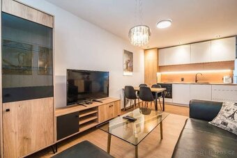 Pronájem bytu 2+1 Kyjov - 3