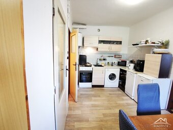 Byt 1+1 Havlíčkova 44m2 - 3