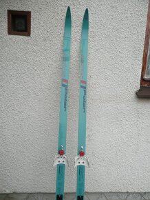 Běžky ARTIS Polar 695 délka 190 cm - 3