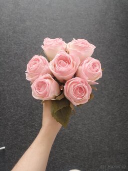 Růžová růže 🌹na svatbu - 3