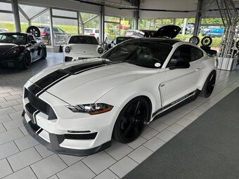 Ford Mustang 5.0 V8 GT Shelby Style (č.1094) - 3
