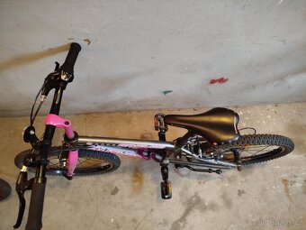 Author cosmic 20 - 3