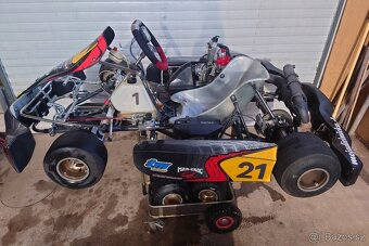 Rotax max 125 senior - 3