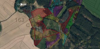 Prodej, Lesní pozemek, k.ú. Babice u Okrouhlice, Volichov - 3