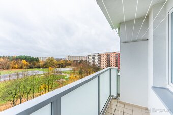 Byt 2+1 (70m2) Hradec Králové - 3