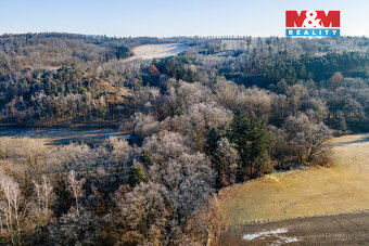 Prodej lesa, 685 m², Horšovský Týn - 3
